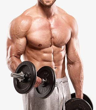 Detail Muscle Body Png Nomer 21