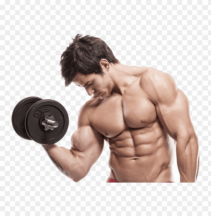 Detail Muscle Body Png Nomer 23