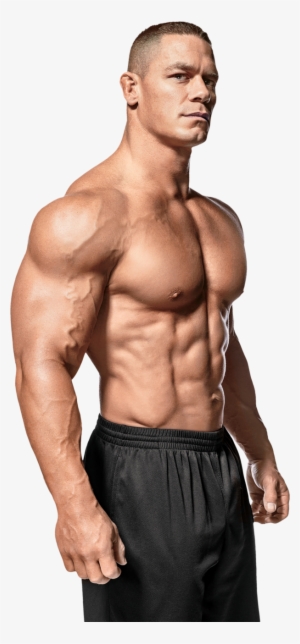 Detail Muscle Download Nomer 15
