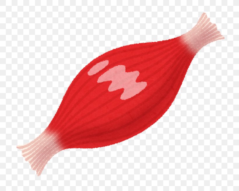 Detail Muscle Png Nomer 28