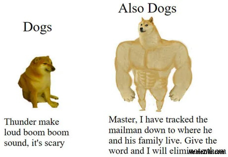 Detail Muscular Dog Meme Nomer 35