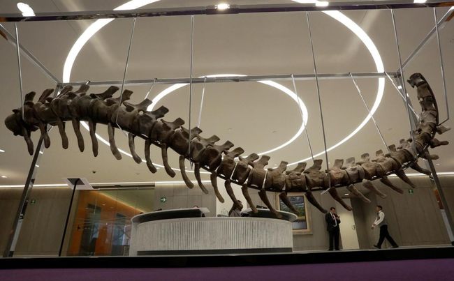Detail Museum Dinosaurus Di Indonesia Nomer 25