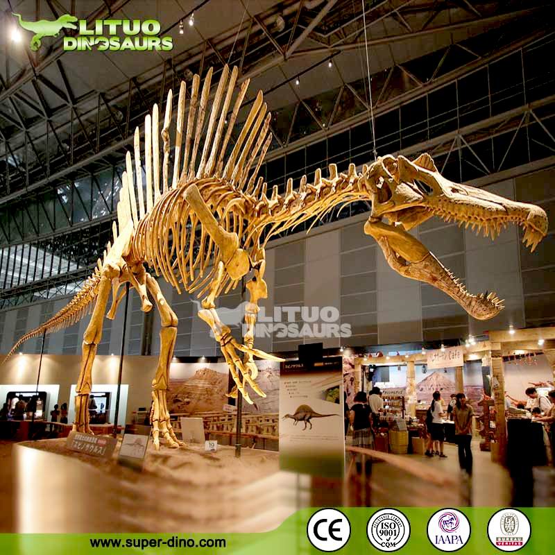 Detail Museum Dinosaurus Di Indonesia Nomer 36