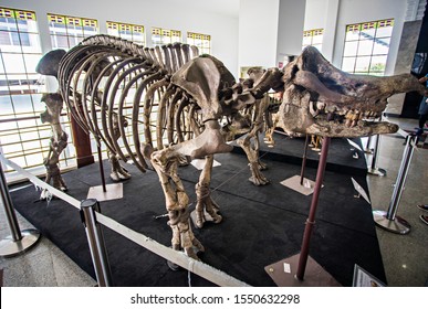 Detail Museum Dinosaurus Di Indonesia Nomer 46