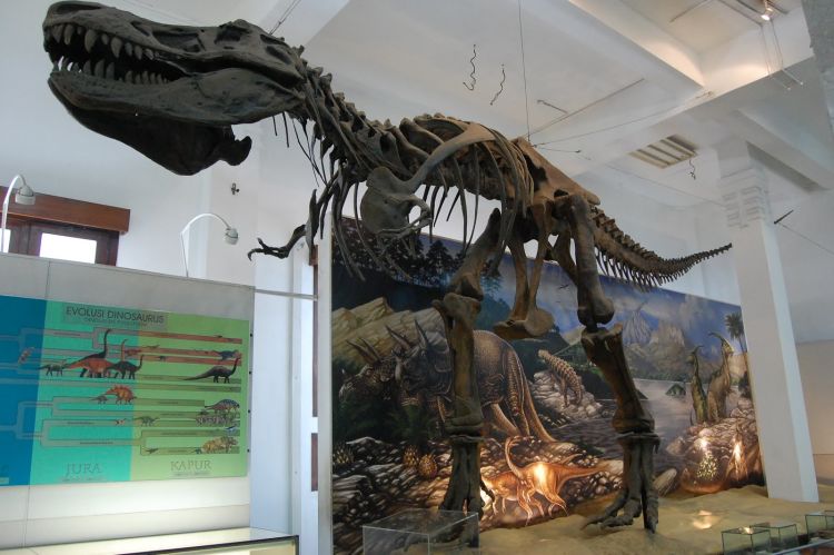 Detail Museum Dinosaurus Di Indonesia Nomer 6