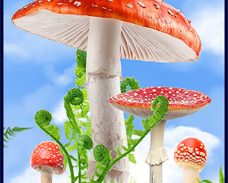 Detail Mushroom 3d Live Wallpaper Nomer 38