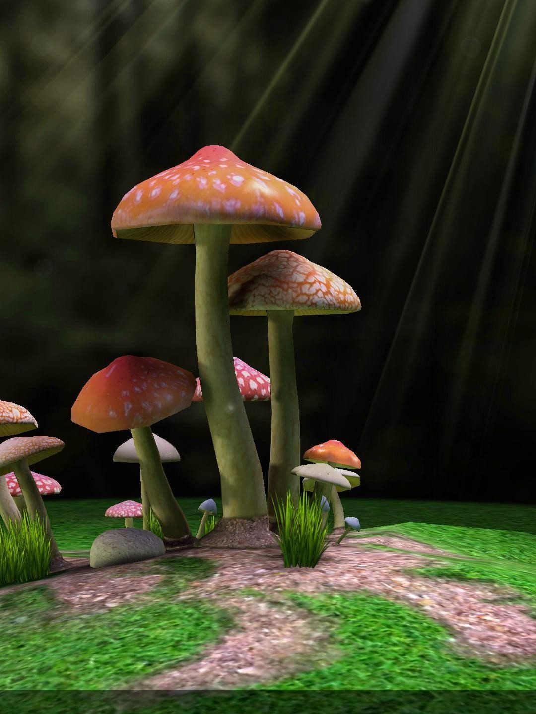 Detail Mushroom 3d Live Wallpaper Nomer 45