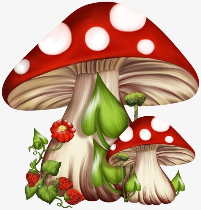 Detail Mushroom Cartoon Png Nomer 1
