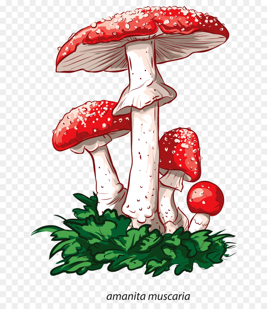 Detail Mushroom Cartoon Png Nomer 29