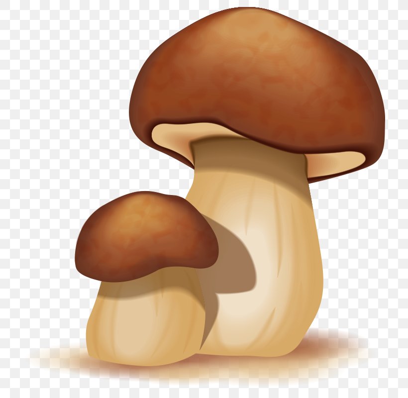 Detail Mushroom Cartoon Png Nomer 31