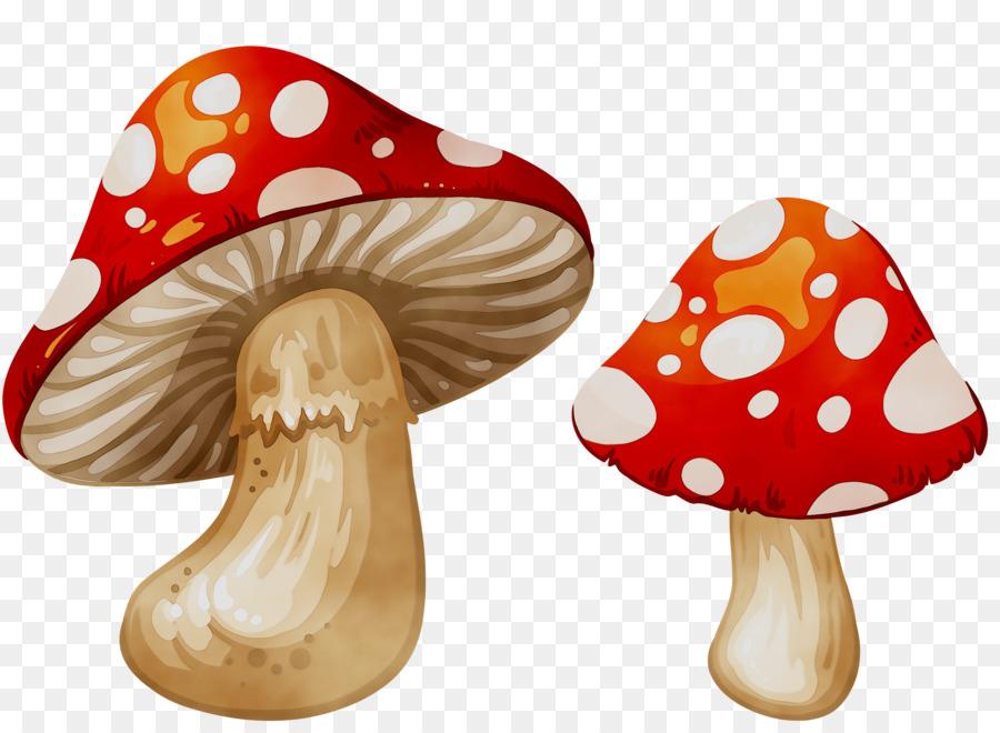 Detail Mushroom Cartoon Png Nomer 40