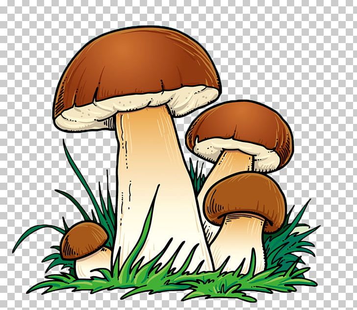 Detail Mushroom Cartoon Png Nomer 51