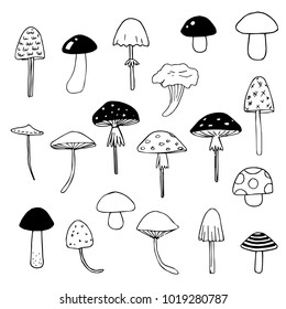 Detail Mushroom Clipart Black And White Nomer 23