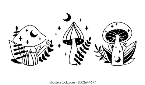 Detail Mushroom Clipart Black And White Nomer 26