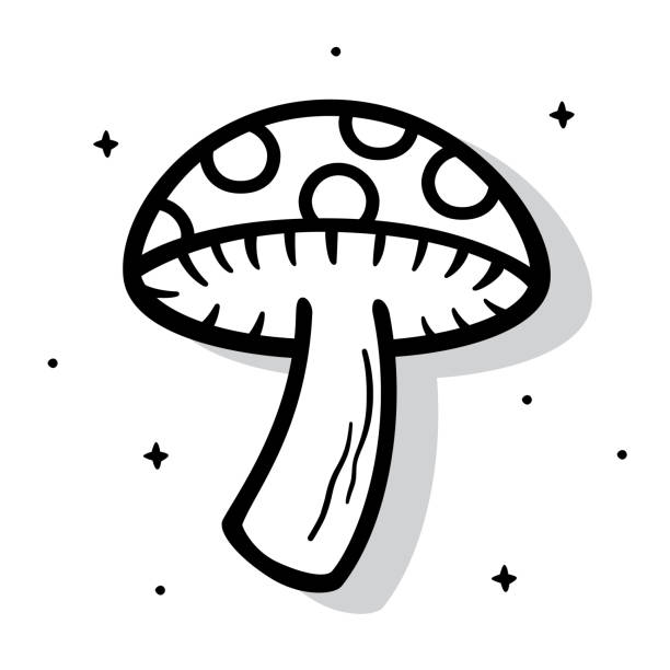 Detail Mushroom Clipart Black And White Nomer 31