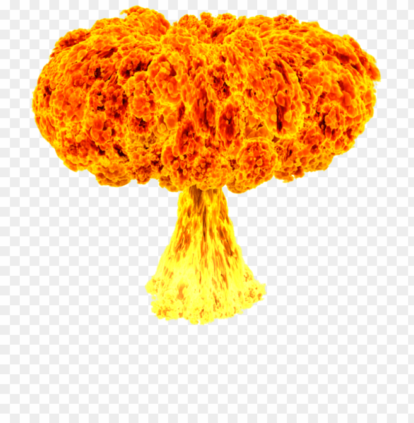 Detail Mushroom Cloud Transparent Background Nomer 32