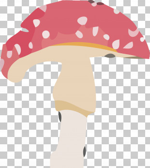 Detail Mushroom Hat Png Nomer 13