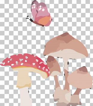 Detail Mushroom Hat Png Nomer 25