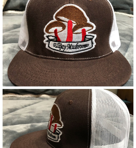 Detail Mushroom Hat Png Nomer 57