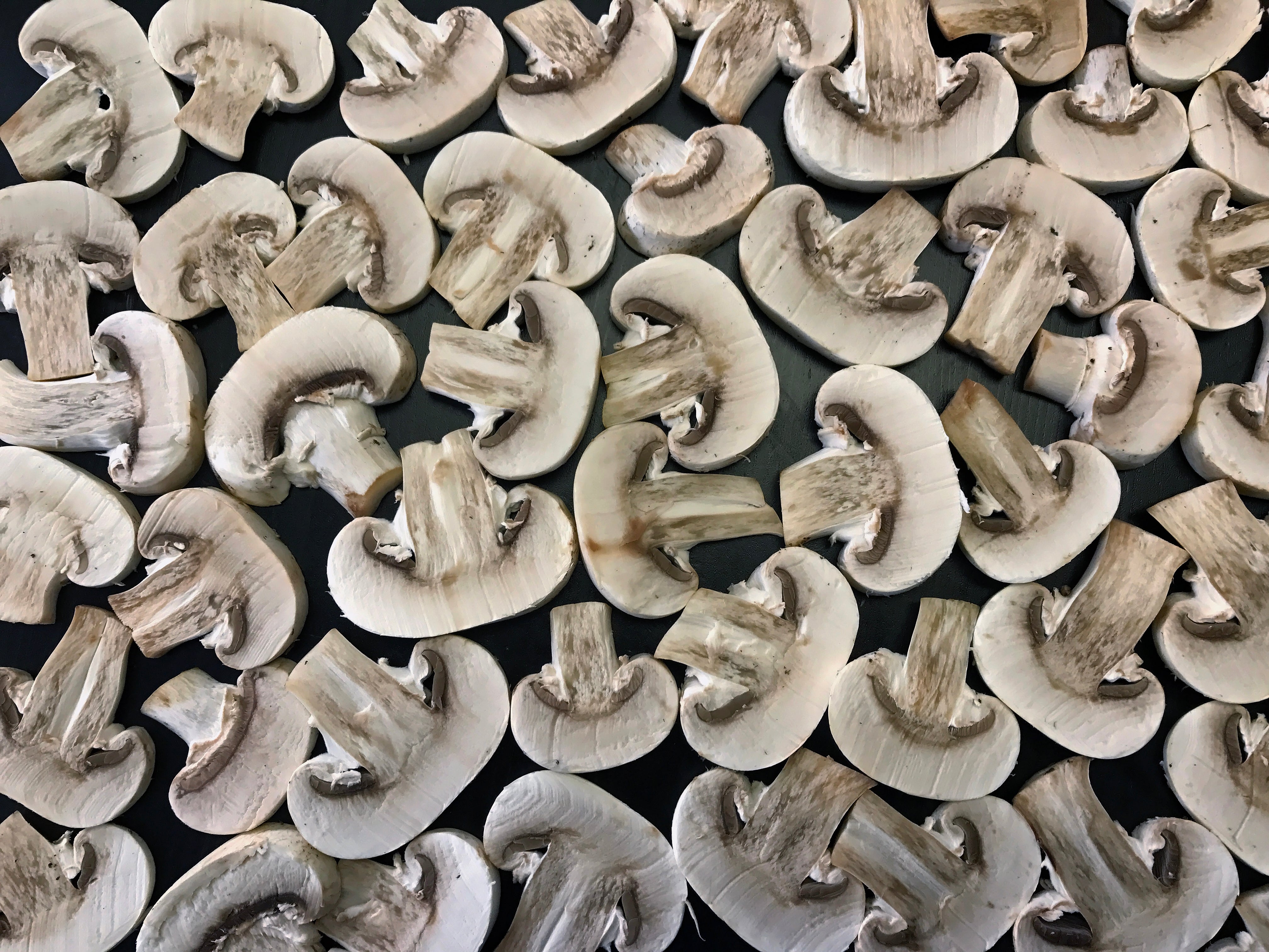 Detail Mushroom Images Nomer 26