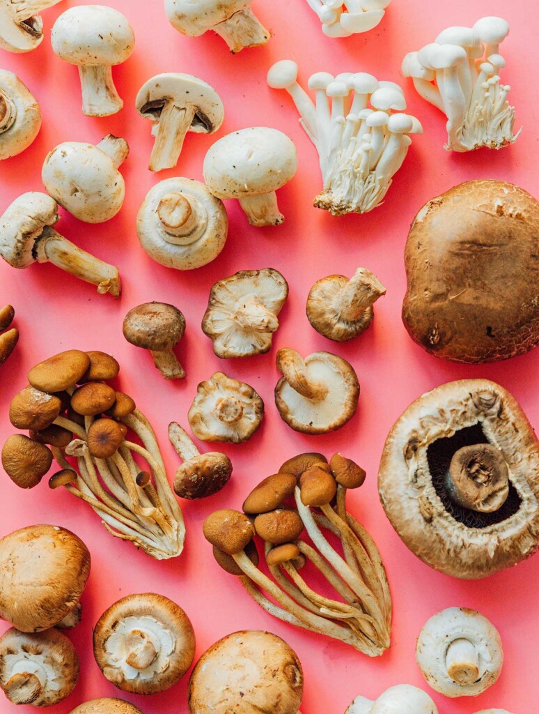 Detail Mushroom Images Nomer 30