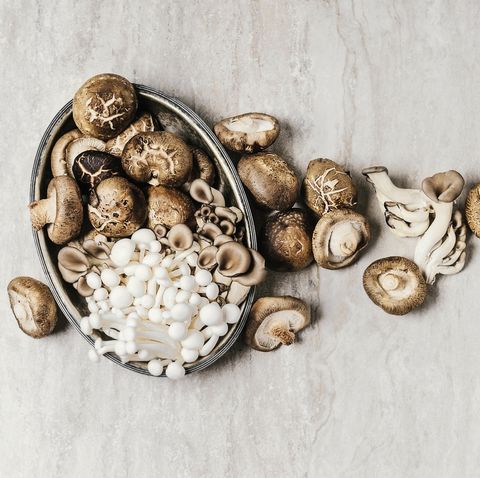 Detail Mushroom Images Nomer 41
