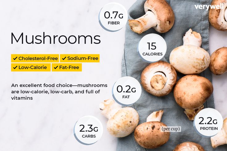 Detail Mushroom Images Nomer 53