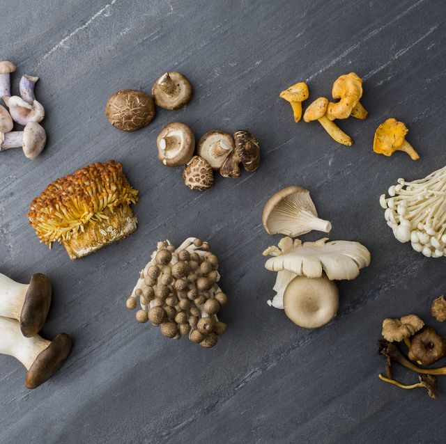 Detail Mushroom Images Nomer 56
