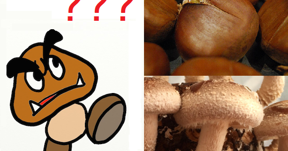 Detail Mushroom Name In Mario Nomer 34