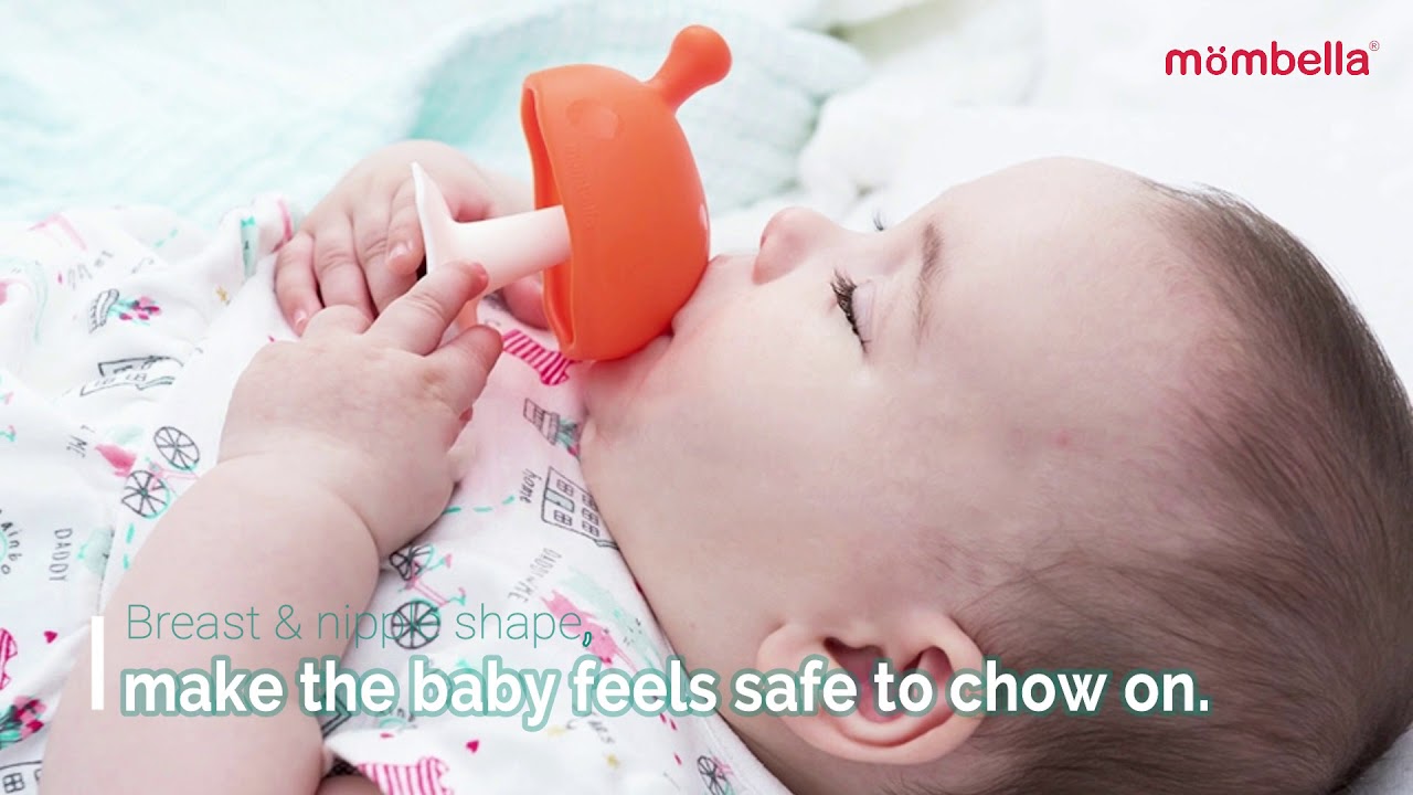 Detail Mushroom Pacifier Nomer 16