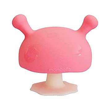 Detail Mushroom Pacifier Nomer 3