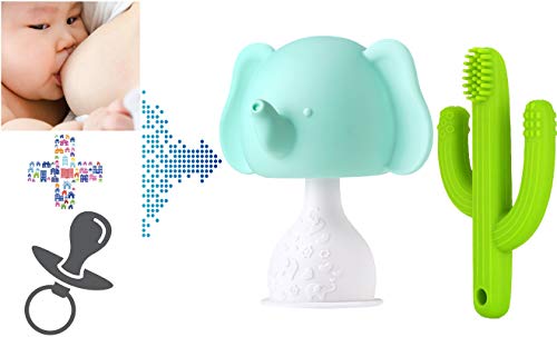 Detail Mushroom Pacifier Nomer 33