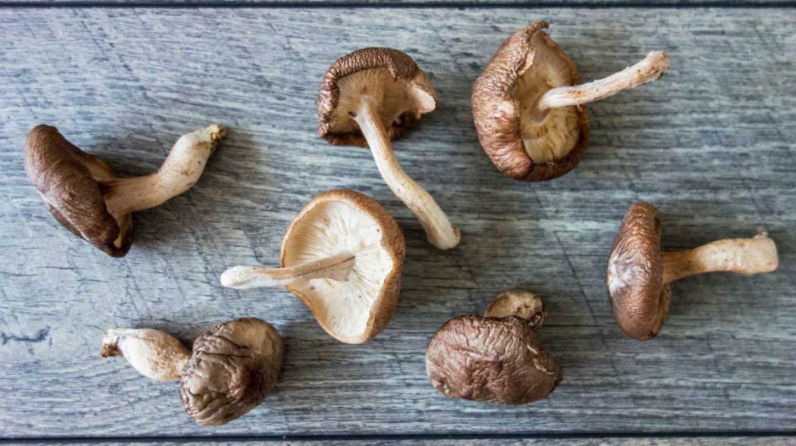 Detail Mushroom Pic Nomer 50