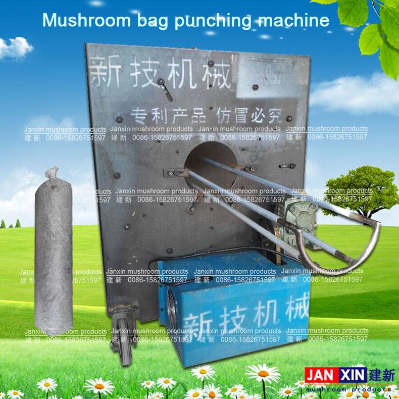 Detail Mushroom Punching Bag Nomer 46