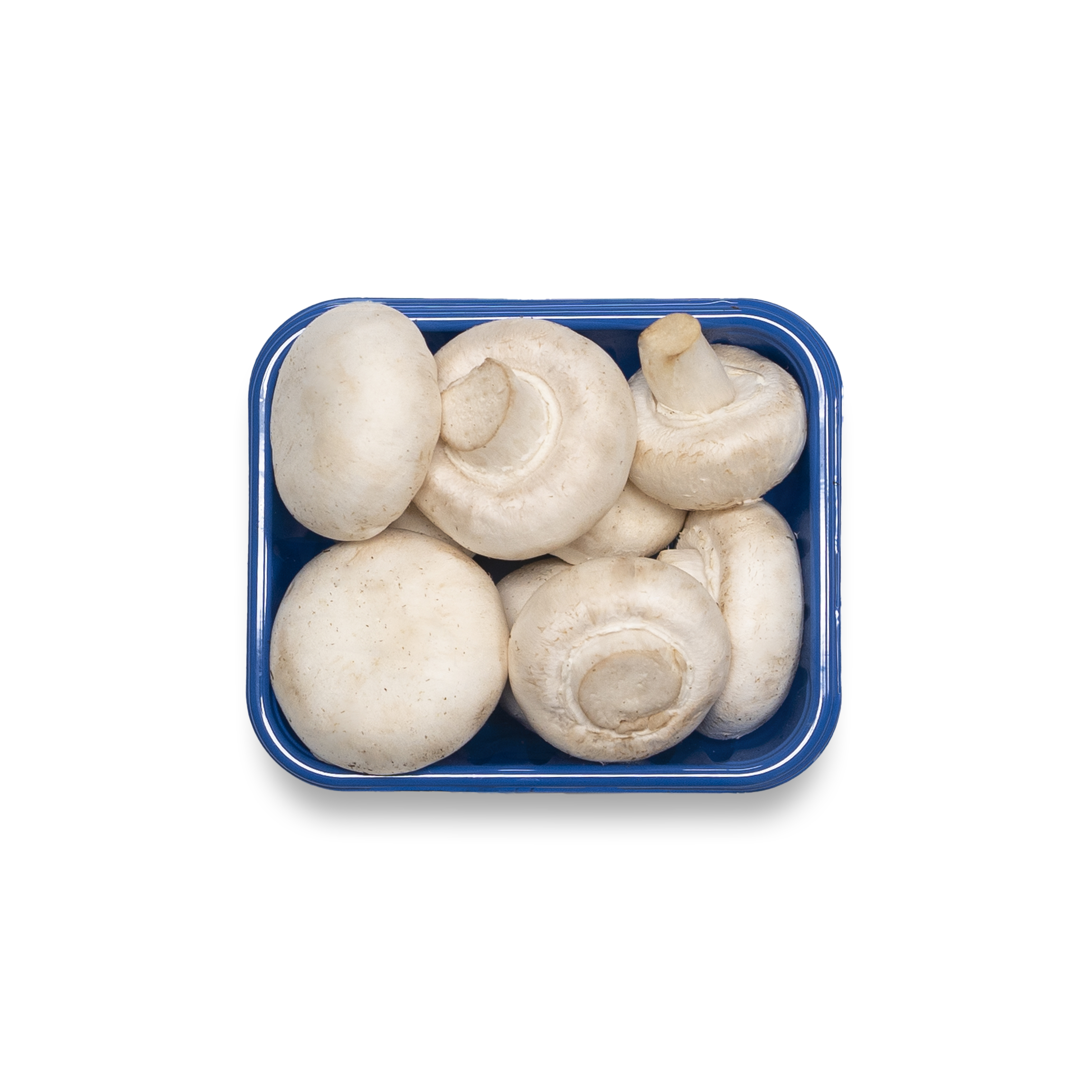 Detail Mushroom Punching Bag Nomer 55