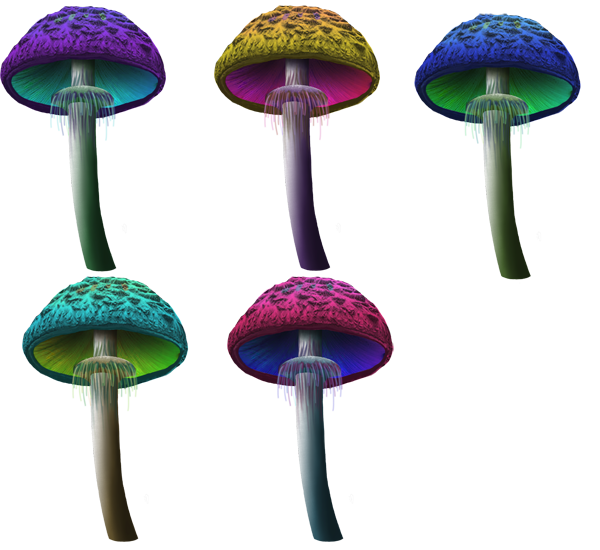 Detail Mushroom Trampoline Nomer 33
