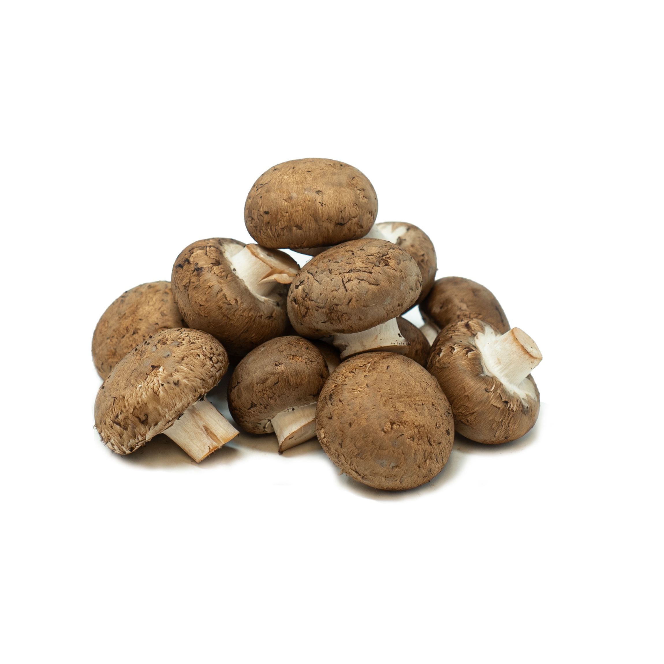 Detail Mushroom Trampoline Nomer 43