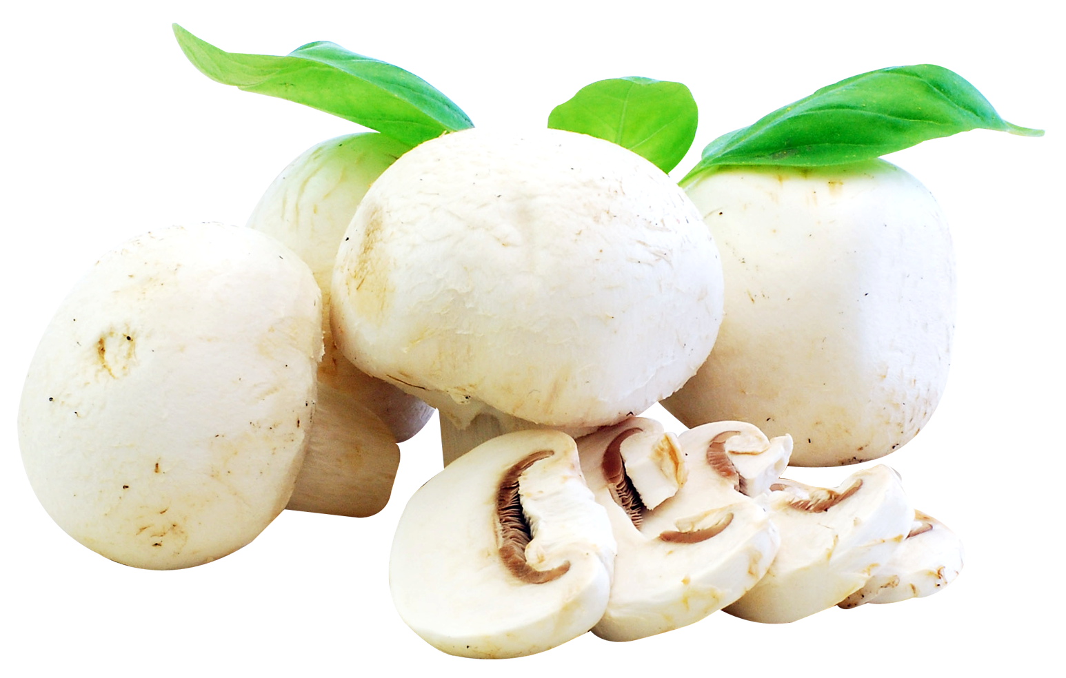 Detail Mushrooms Png Nomer 20