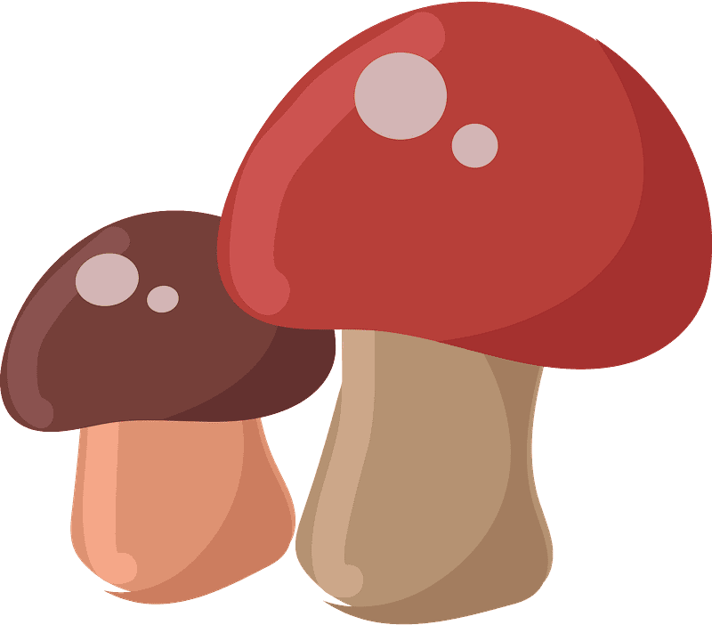 Detail Mushrooms Transparent Nomer 8