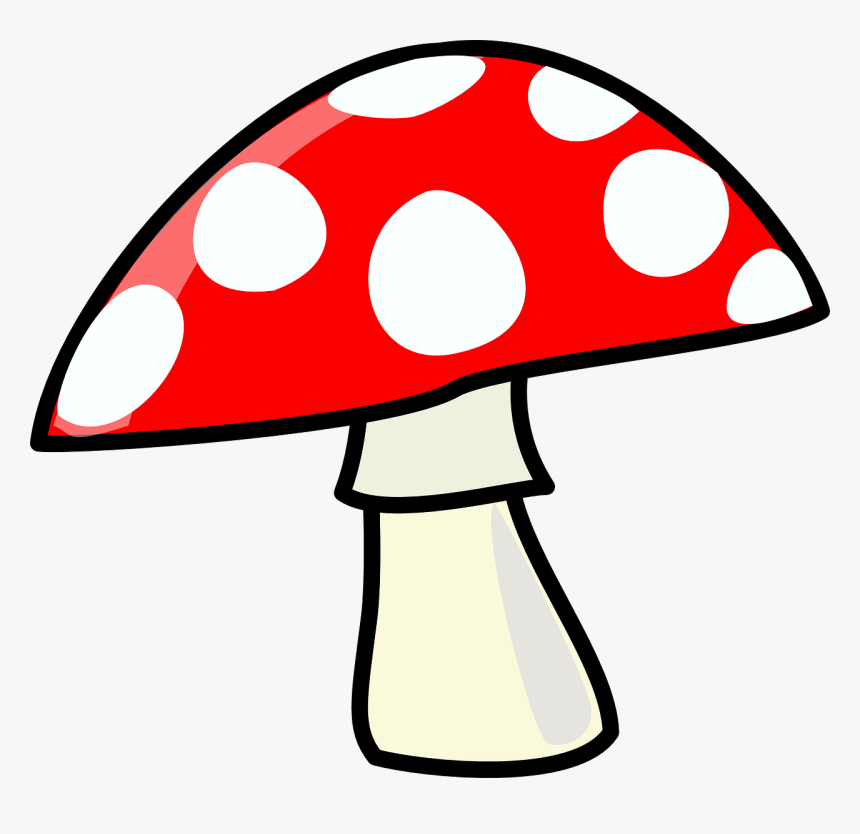 Detail Mushrooms Transparent Nomer 28