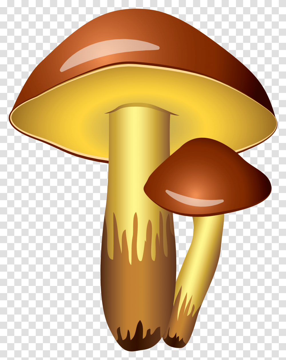Detail Mushrooms Transparent Nomer 45