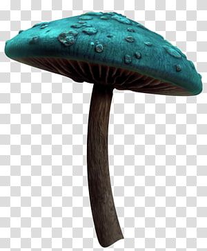 Detail Mushrooms Transparent Nomer 52