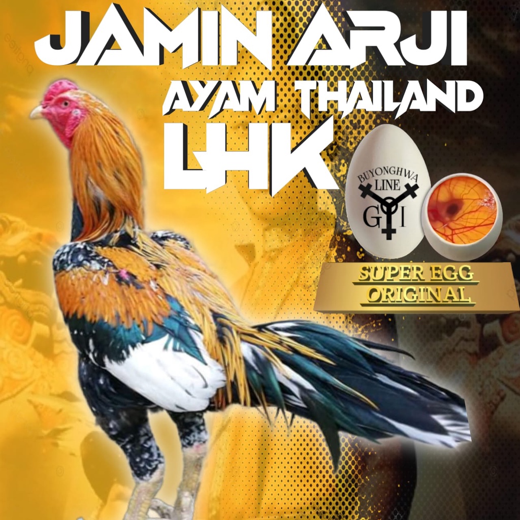 Detail Logo Ayam Aduan Thailand Nomer 33