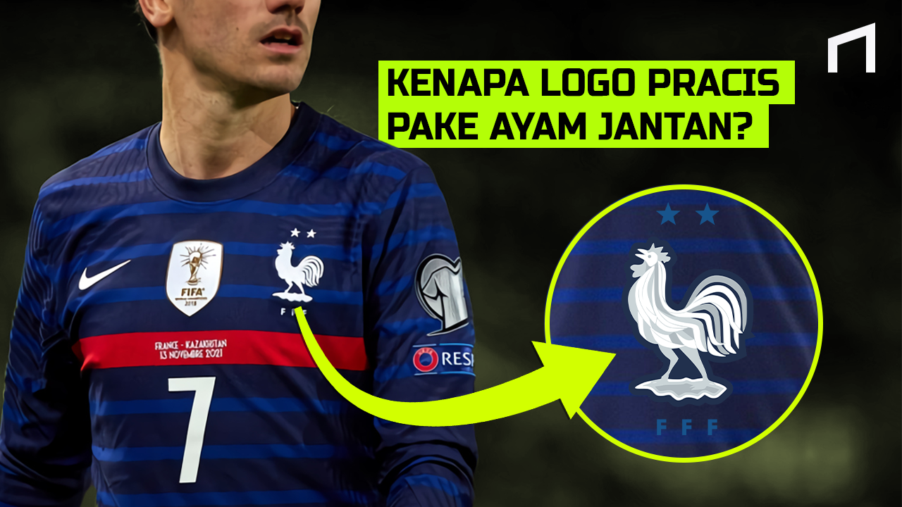 Detail Logo Ayam Bola Nomer 49