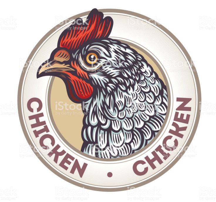 Detail Logo Ayam Broiler Keren Nomer 14