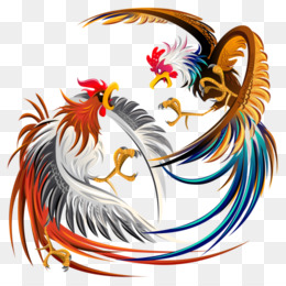 Detail Logo Ayam Petarung Nomer 2