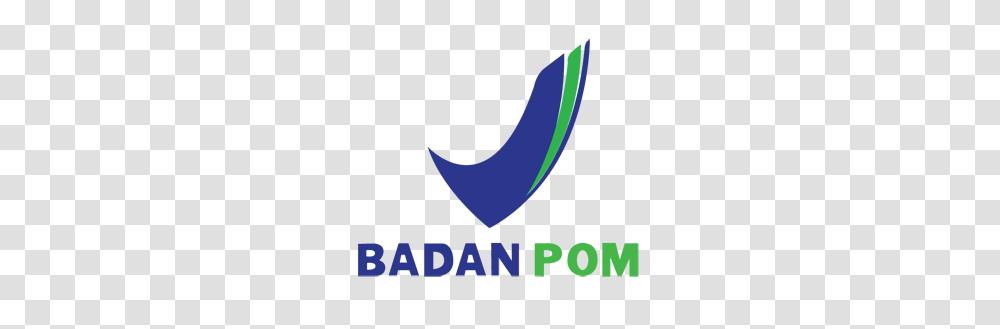 Detail Logo Badan Informasi Geospasial Png Nomer 14