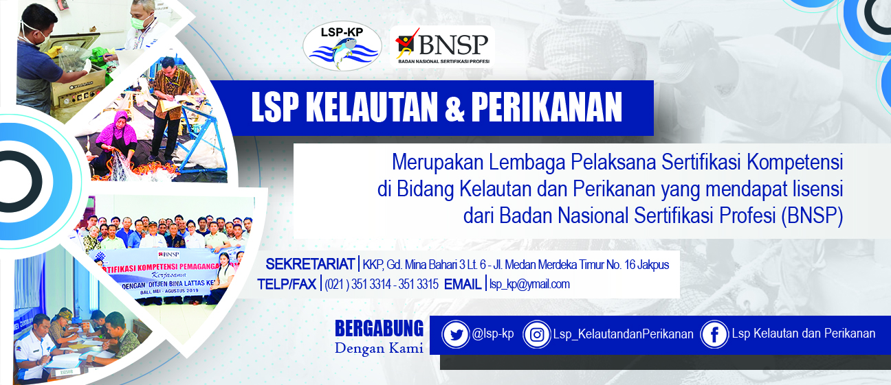 Detail Logo Badan Nasional Sertifikasi Profesi Nomer 23