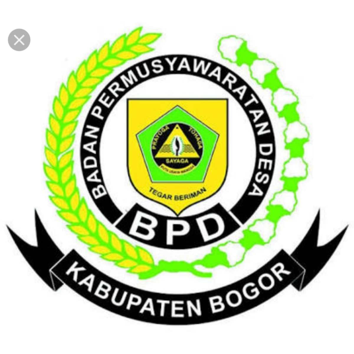 Detail Logo Badan Permusyawaratan Desa Nomer 16