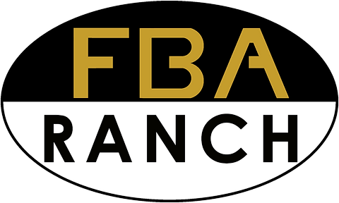 Detail Logo Baf Finance Png Nomer 37